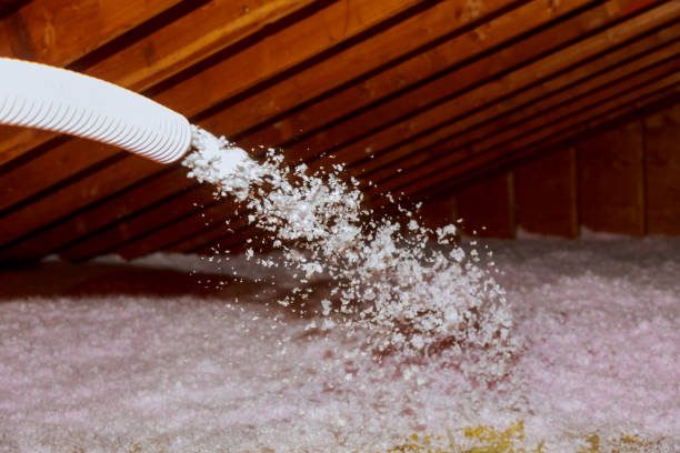 Best Cellulose Insulation in Wtell, LA