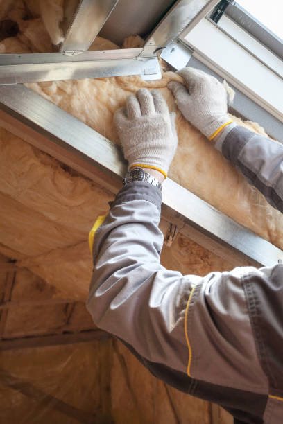 Best Eco-Friendly Insulation in Wtell, LA